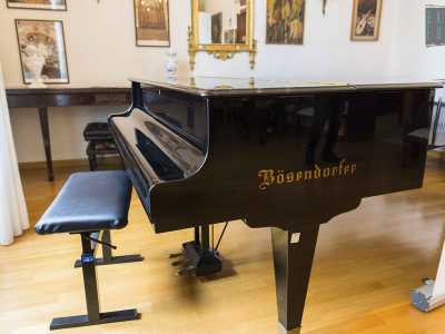 ...un pianoforte a coda B�sendorfer